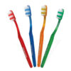 dentex wave stick 4 color