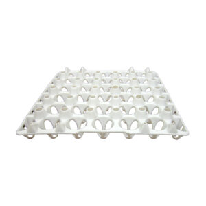 Egg Tray for 30 Pcs