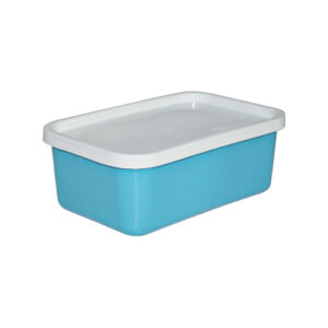 Ice cream Container