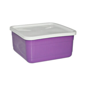 Ice cream Container Medium