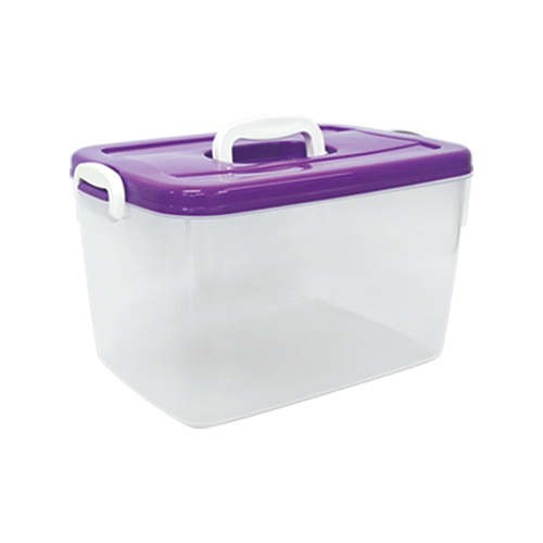 Rectangular Storage Box with locking lid Medium Alfeliaj Shop